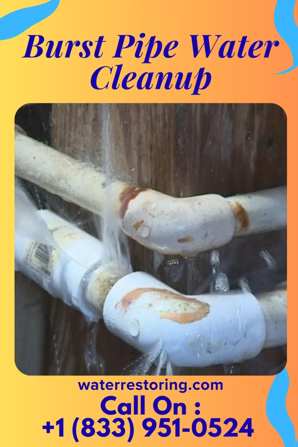 Burst Pipe Water Cleanup in Oakbrook Terrace, IL