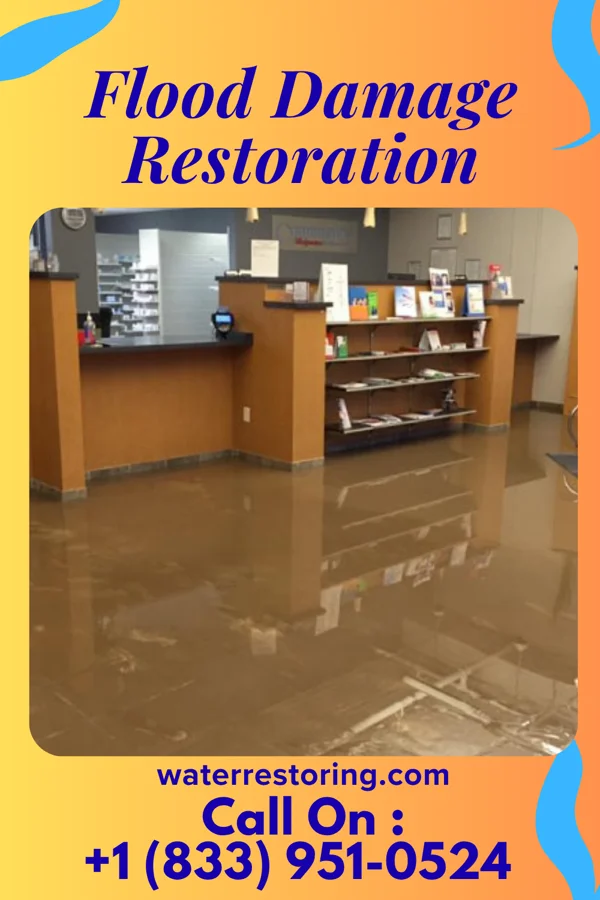 Flood Damage Restoration in Oakbrook Terrace, IL